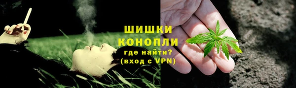 индика Беломорск