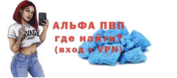 индика Беломорск