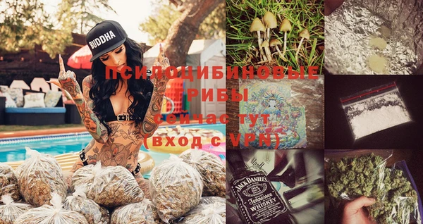 индика Беломорск