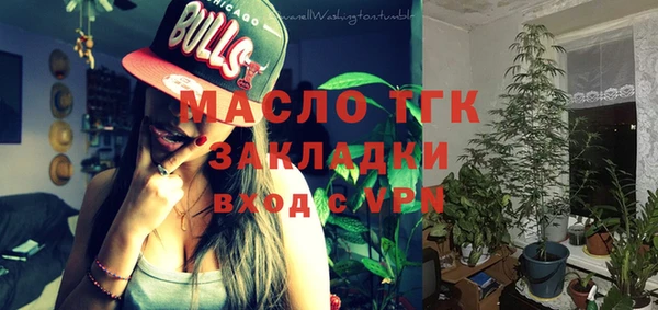 индика Беломорск