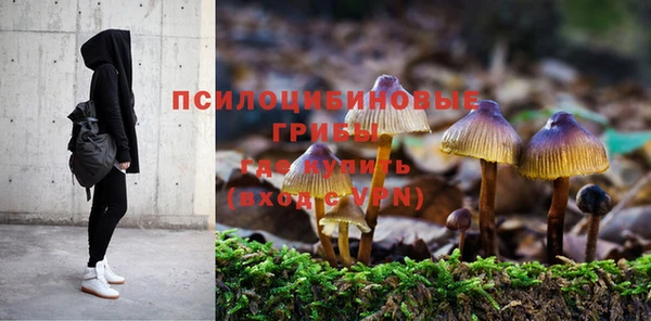 MDMA Premium VHQ Белокуриха