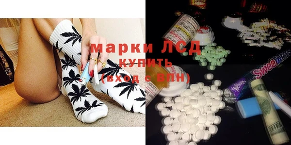 индика Беломорск