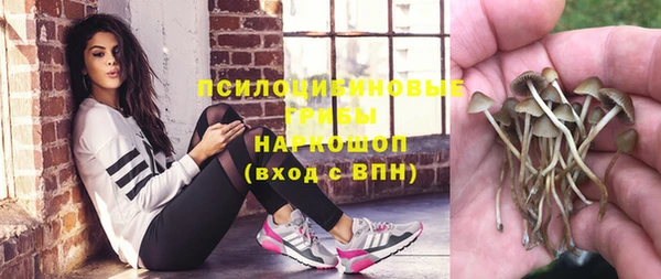 индика Беломорск