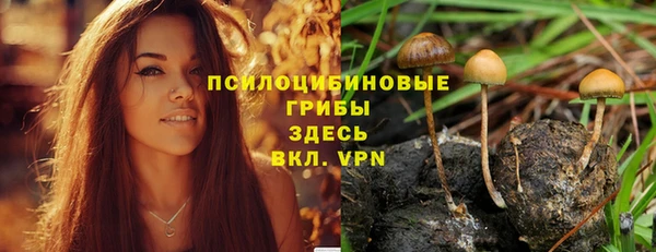 MDMA Premium VHQ Белокуриха