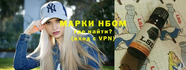 индика Беломорск