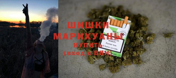 индика Беломорск
