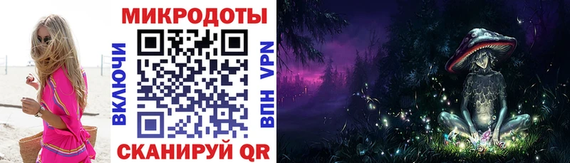 купить наркоту  кракен ТОР  Галлюциногенные грибы мицелий  Светогорск 