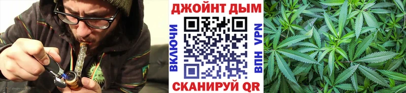 Канабис планчик  дарнет шоп  Светогорск 